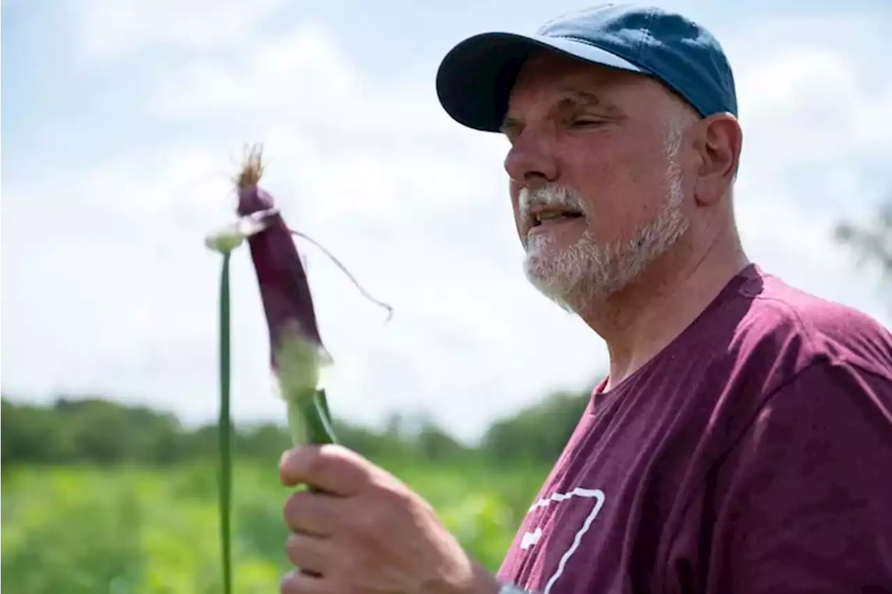 Spectacular eggs and grass-fed beef: Bucks nonprofit farm donates 'high-end' food