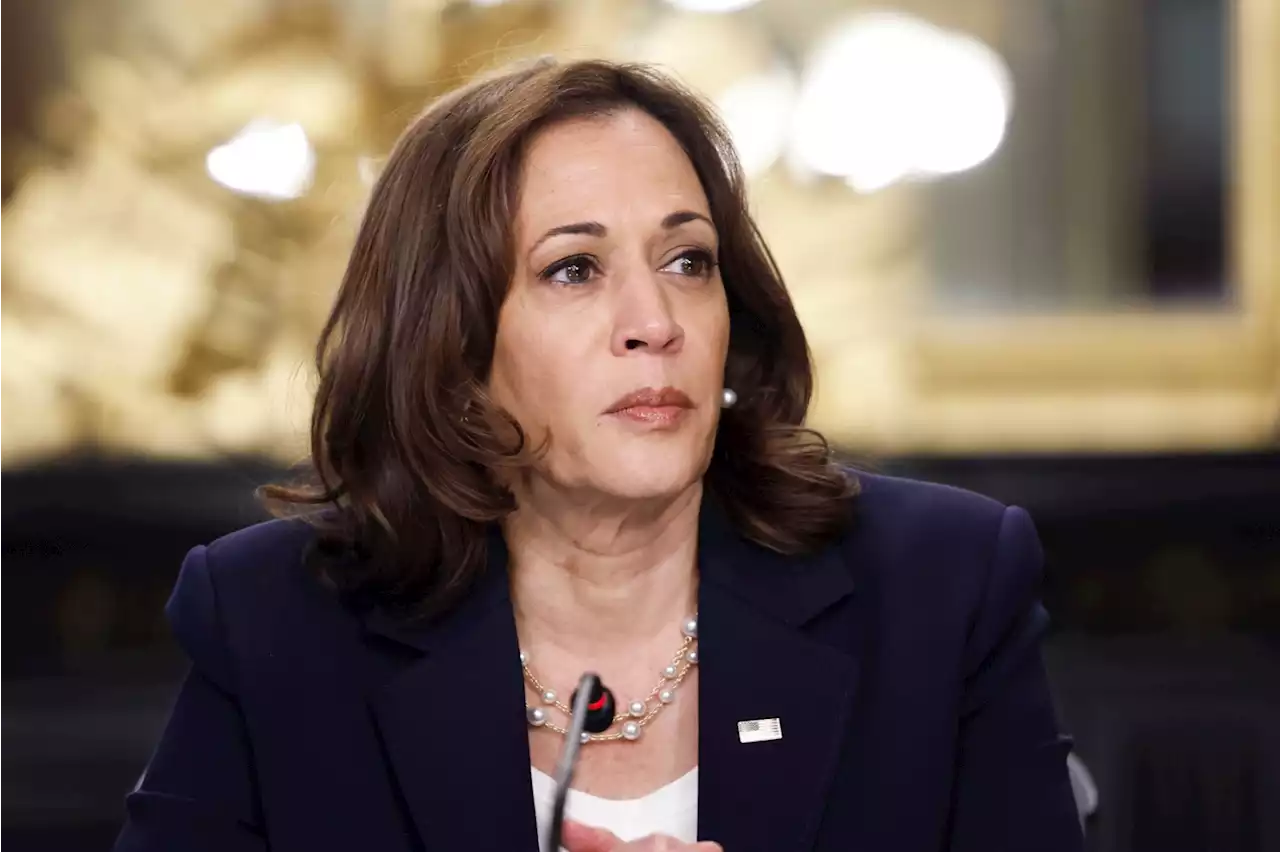 Kamala Harris Slams Florida's New Black History Curriculum: 'History With Lies'