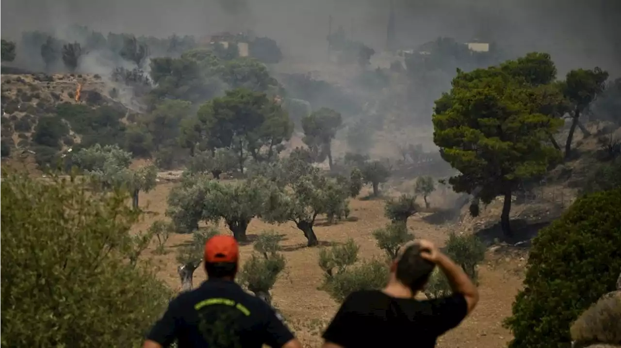 Canicule : la Grèce en 'vigilance absolue', mercure en hausse aux Etats-Unis