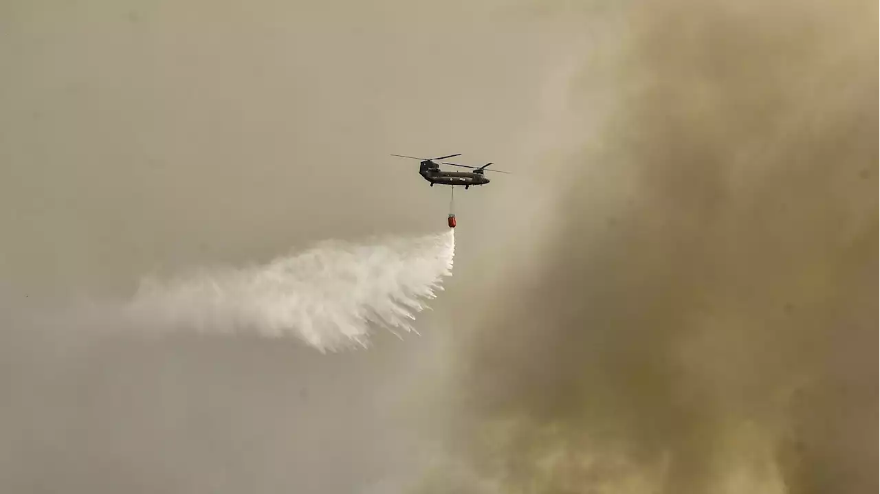 Incendies en Grèce : évacuations par bateau sur l'île de Rhodes