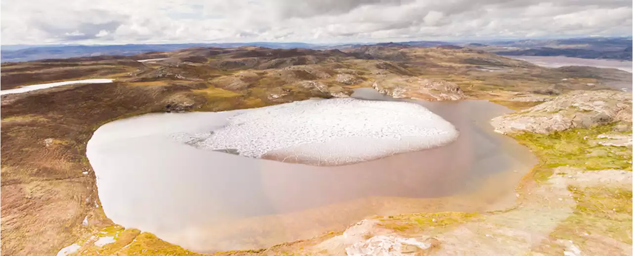 Ancient Soil Found in a Freezer Reveals an Ice-Free Greenland, Hints at Future Risks