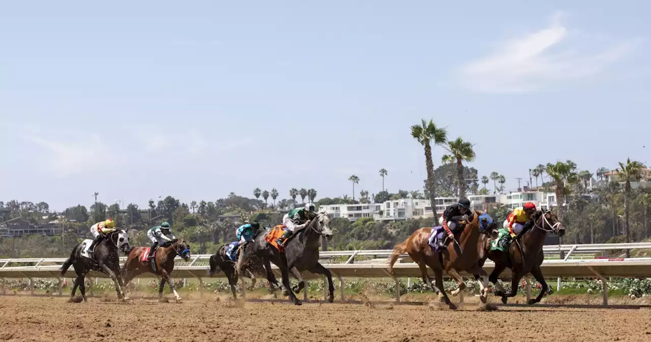 Bryce Miller: Del Mar grows into safety 'leader' as horse racing fights for survival