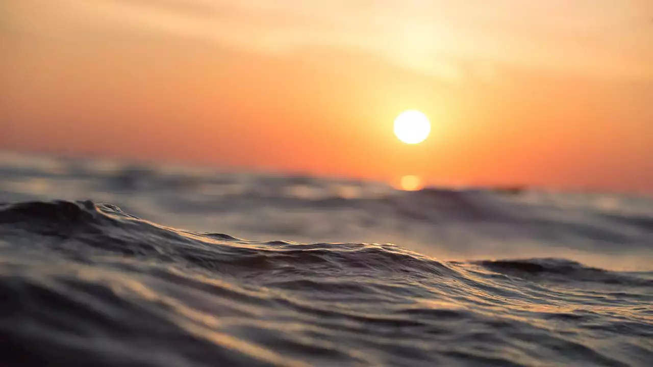 Heat waves can occur in our oceans