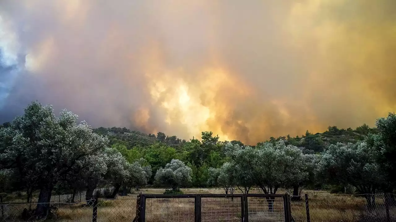 Tausende Menschen wegen Waldbrand auf Rhodos evakuiert