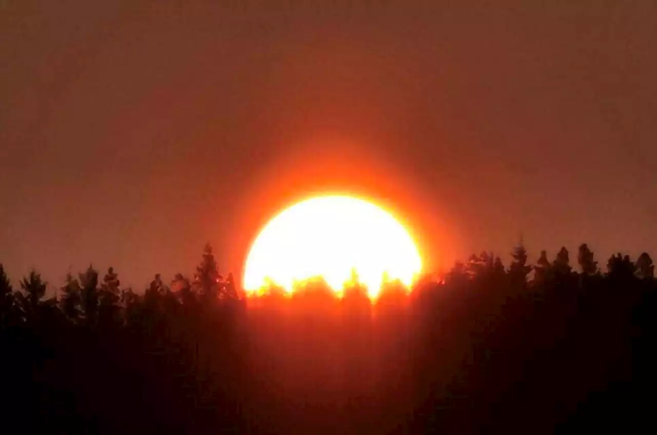 Wildfire smoke highlights need for better ventilation in public spaces - Terrace Standard