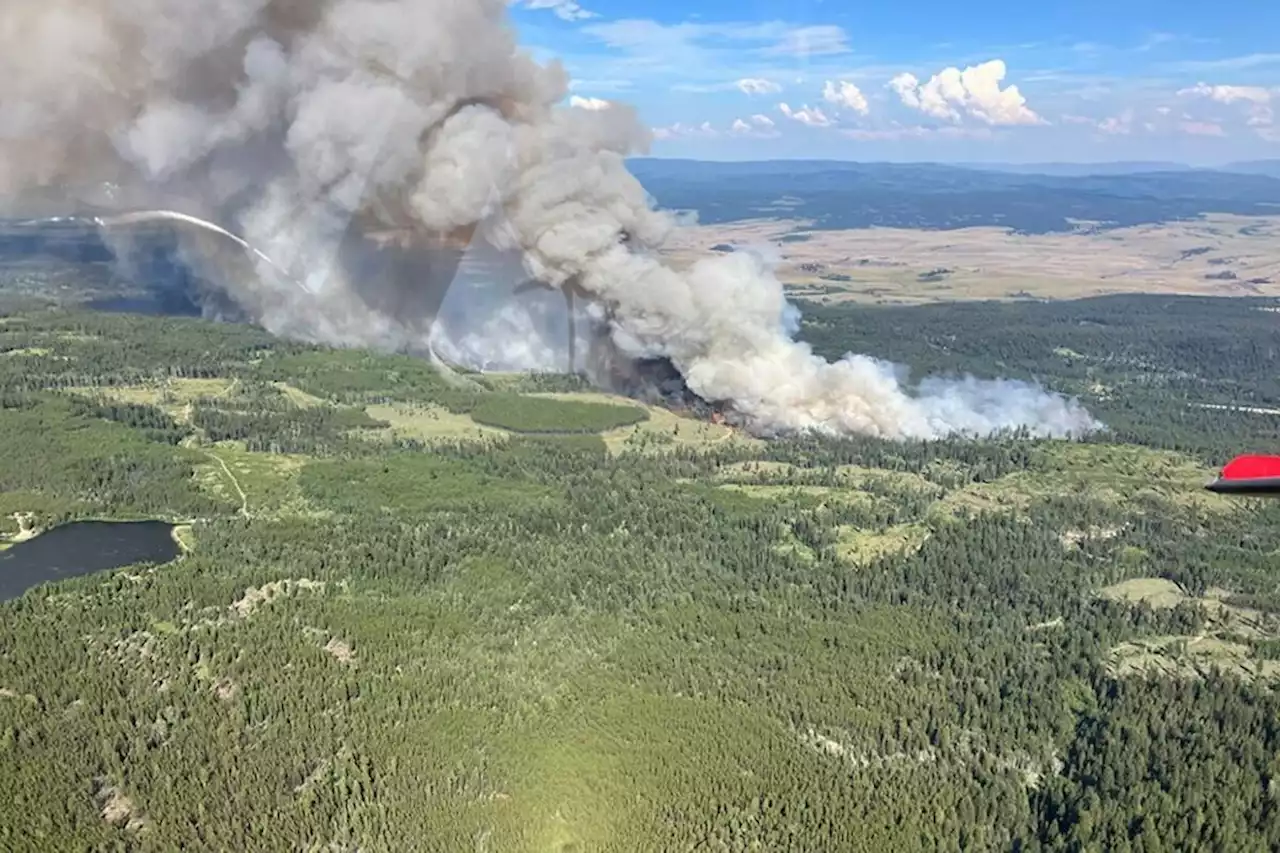 Wildfire south of Kamloops now 210 hectares, evacuations in effect - Terrace Standard