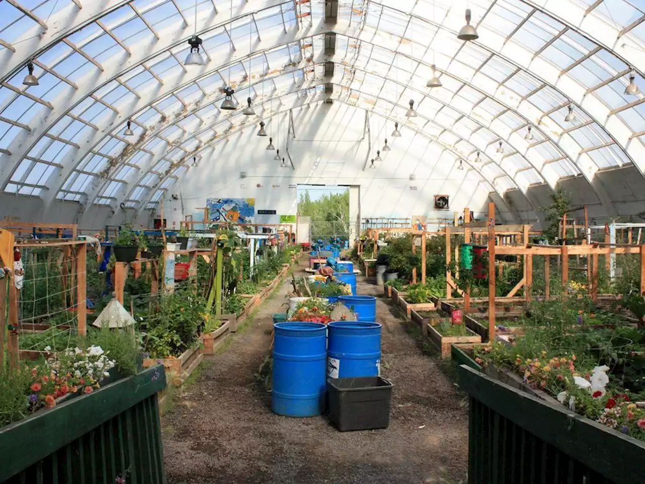 Greenhouses aim to bring fresh produce to North, putting a dent in food insecurity