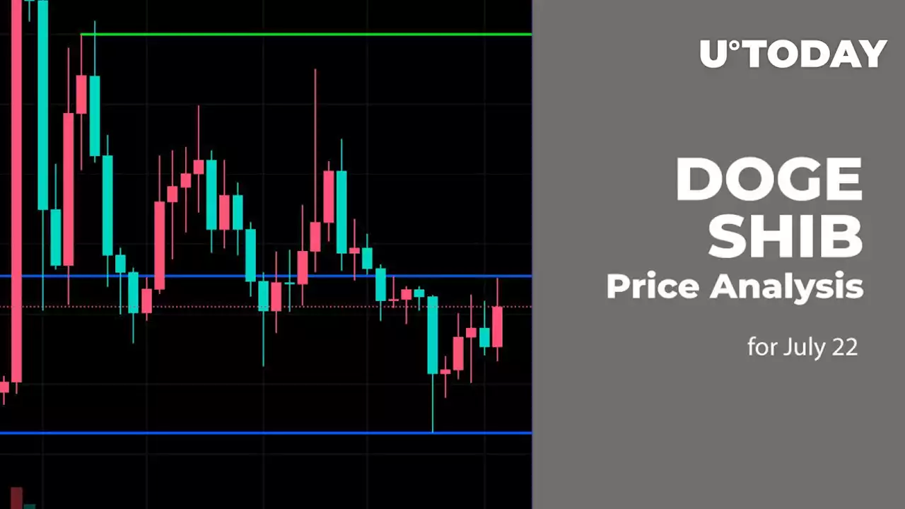 DOGE and SHIB Price Analysis for July 22