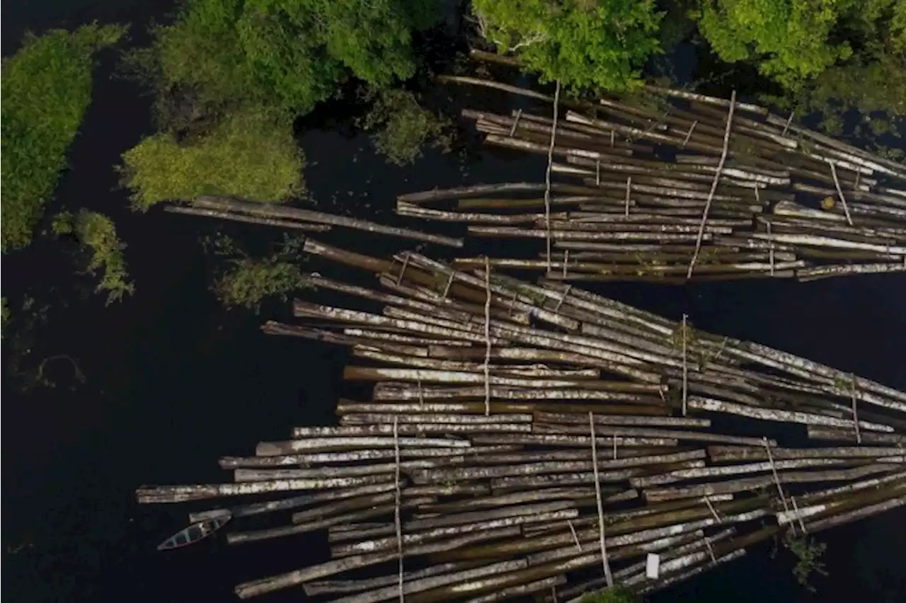 Amazônia: plano de Lula contra crimes terá R$ 2 bi e até lanchas blindadas | Maquiavel