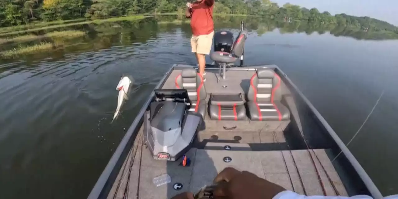 Military veterans get chance to fish with pros