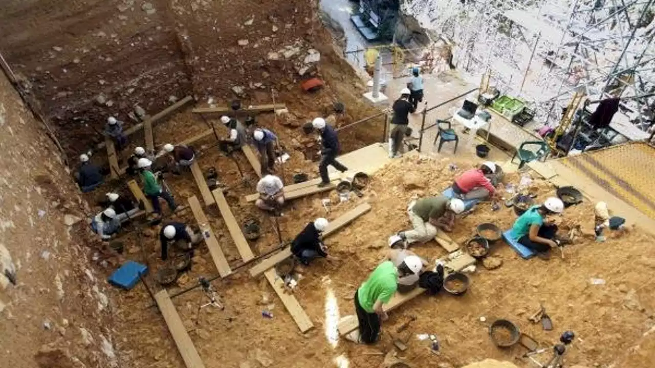 Encuentran en Atapuerca restos del Homo Antecessor de hace 800.000 años