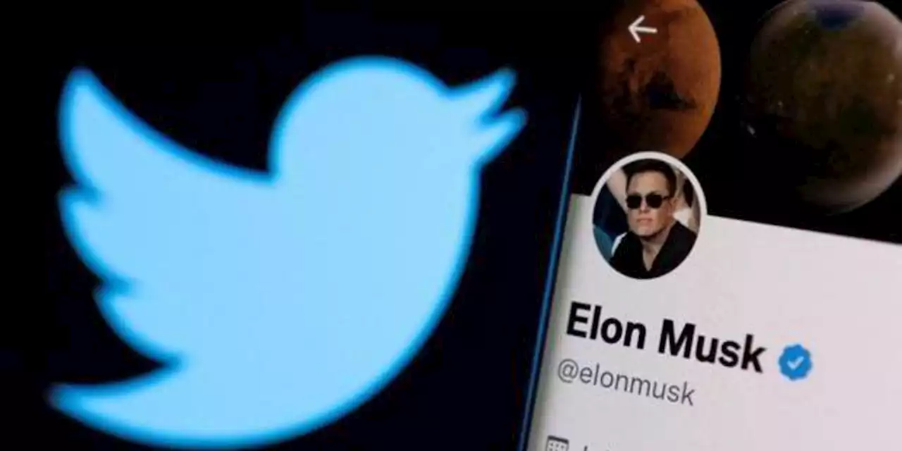 Elon Musk anuncia la próxima desaparición del pájaro azul de Twitter y busca reemplazo