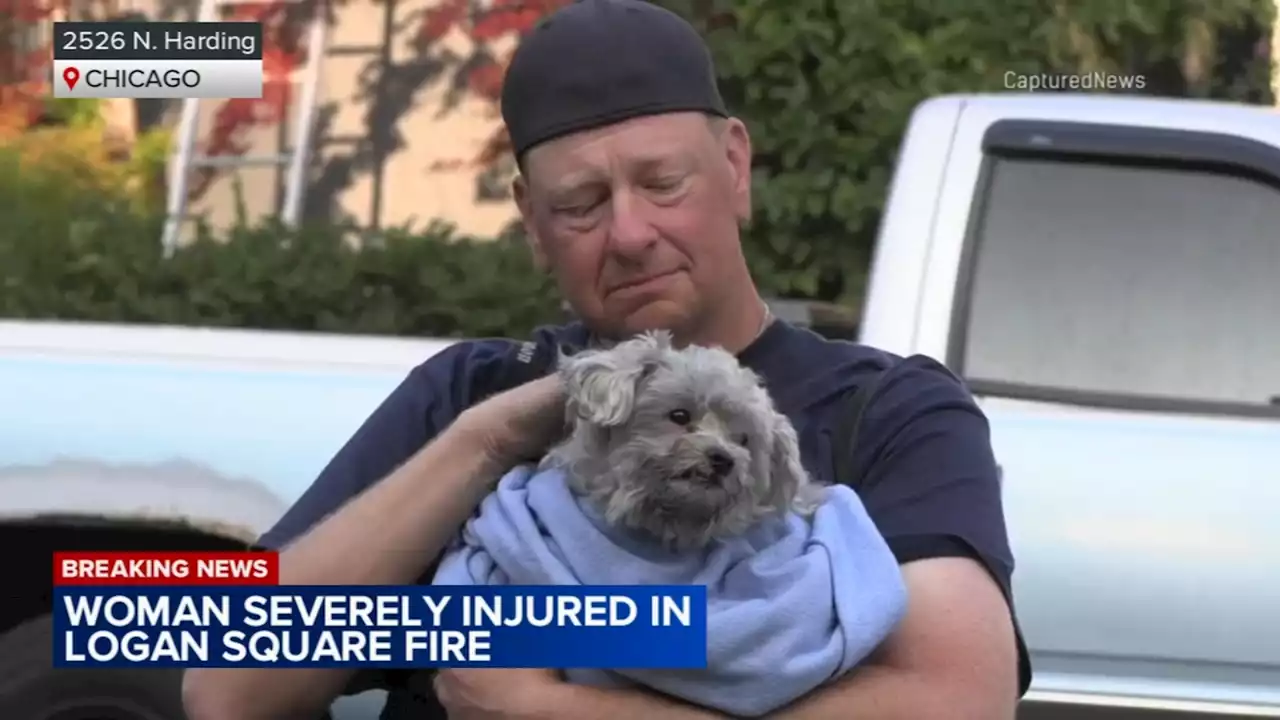 Woman in grave condition, dog resuscitated after Logan Square fire: CFD