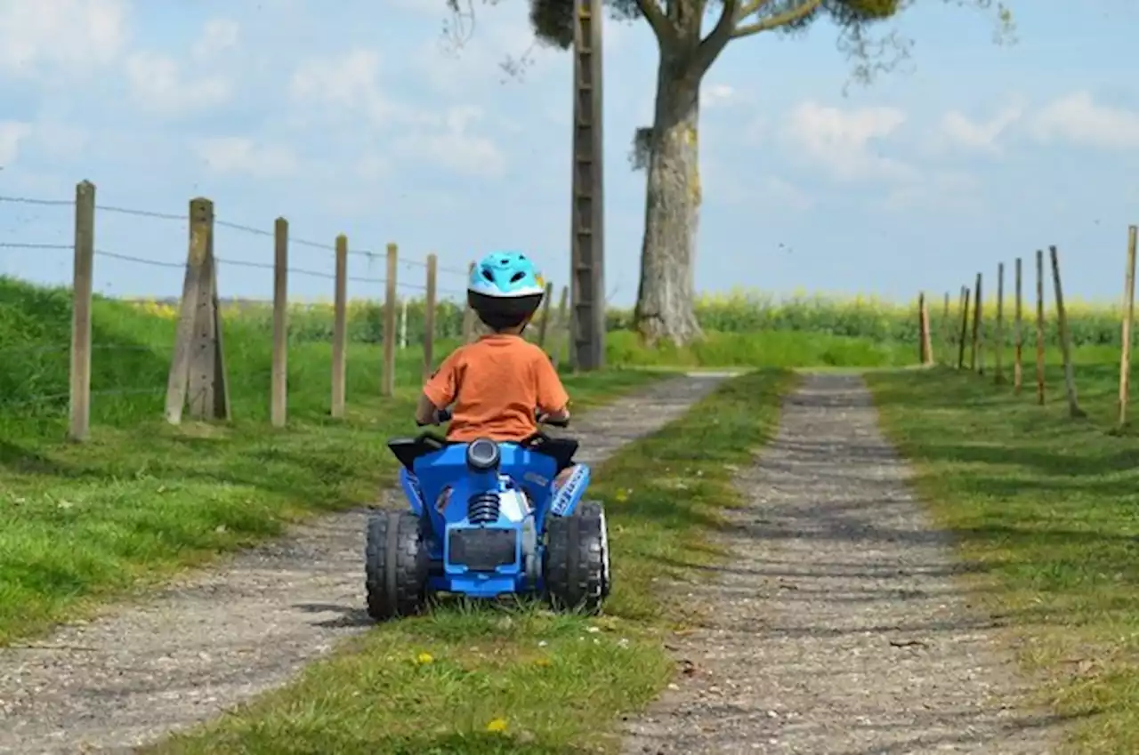 Wie beschäftigen Sie Ihre Kinder während der Sommerferien? - bauernzeitung.ch