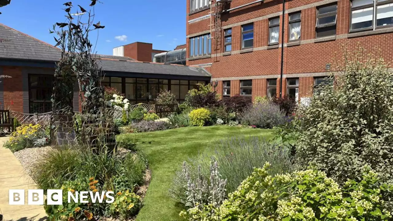 Hospital Rainbow Gardens pick up Green Flag Awards