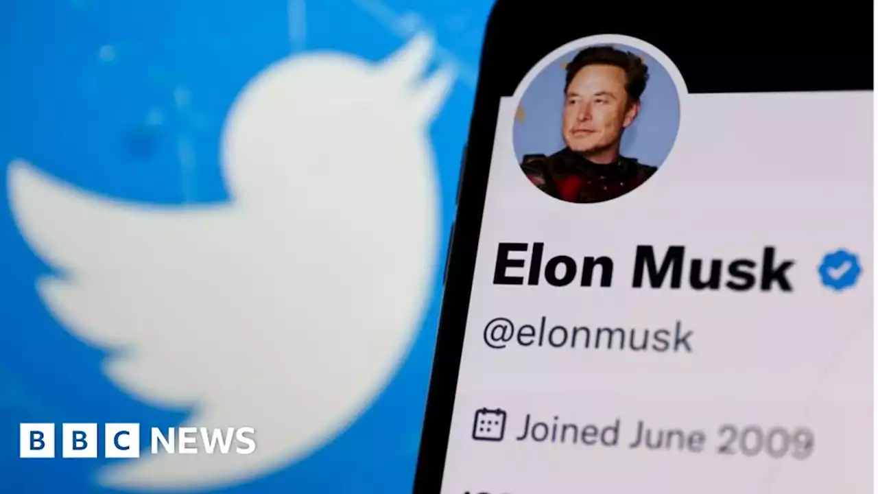 Elon Musk: Time to say goodbye to Twitter logo