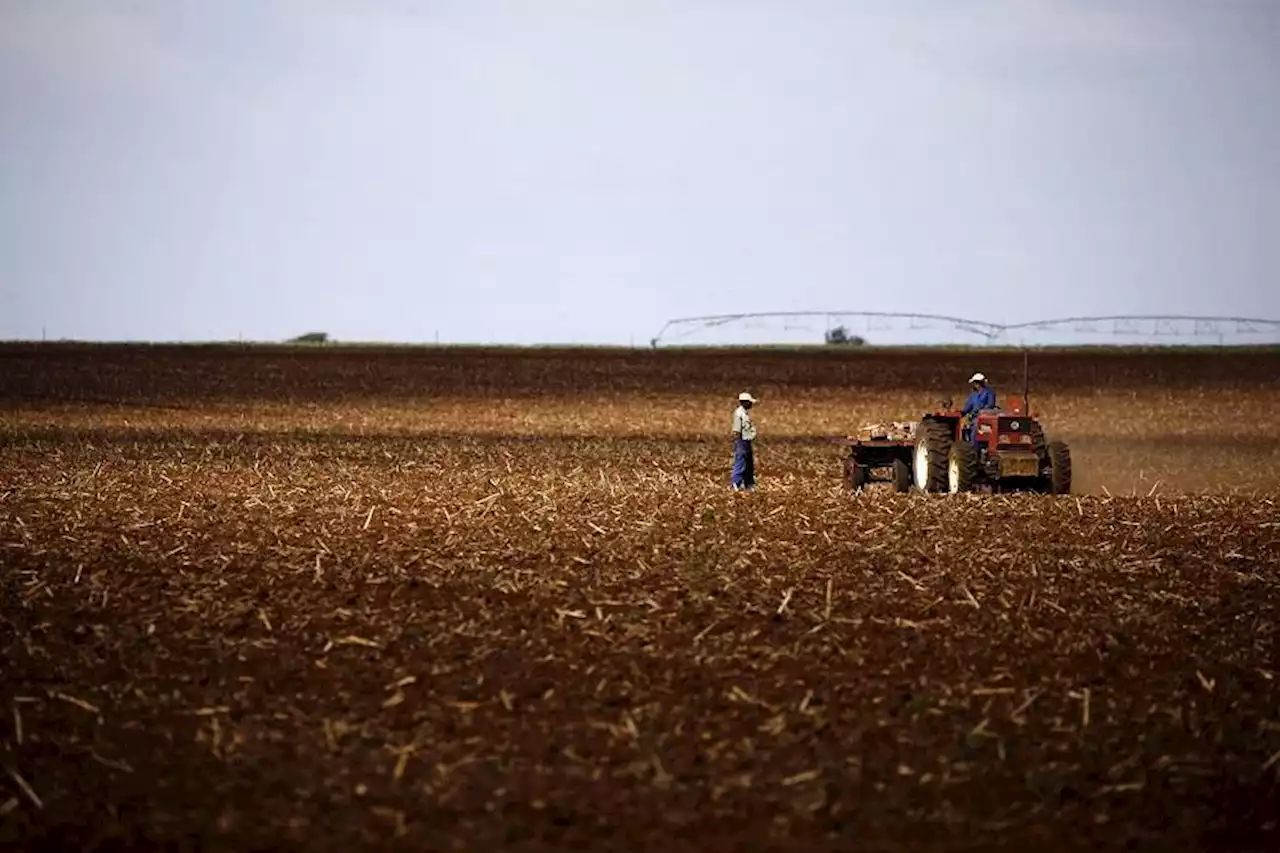 KARABO MABUZA: Reserve Bank’s rates pause brings some relief to SA farmers