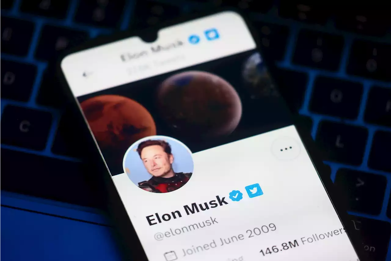 Musk will Twitter-Logo ändern: Verabschiedung 'von allen Vögeln'