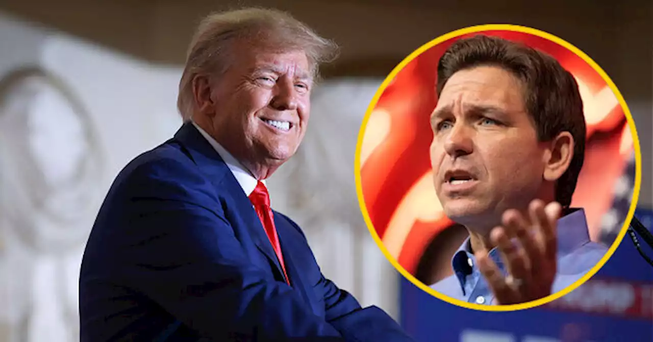 Polls: Ron DeSantis Drops to Third Place in South Carolina, Donald Trump Holds Commanding Leads in Early States