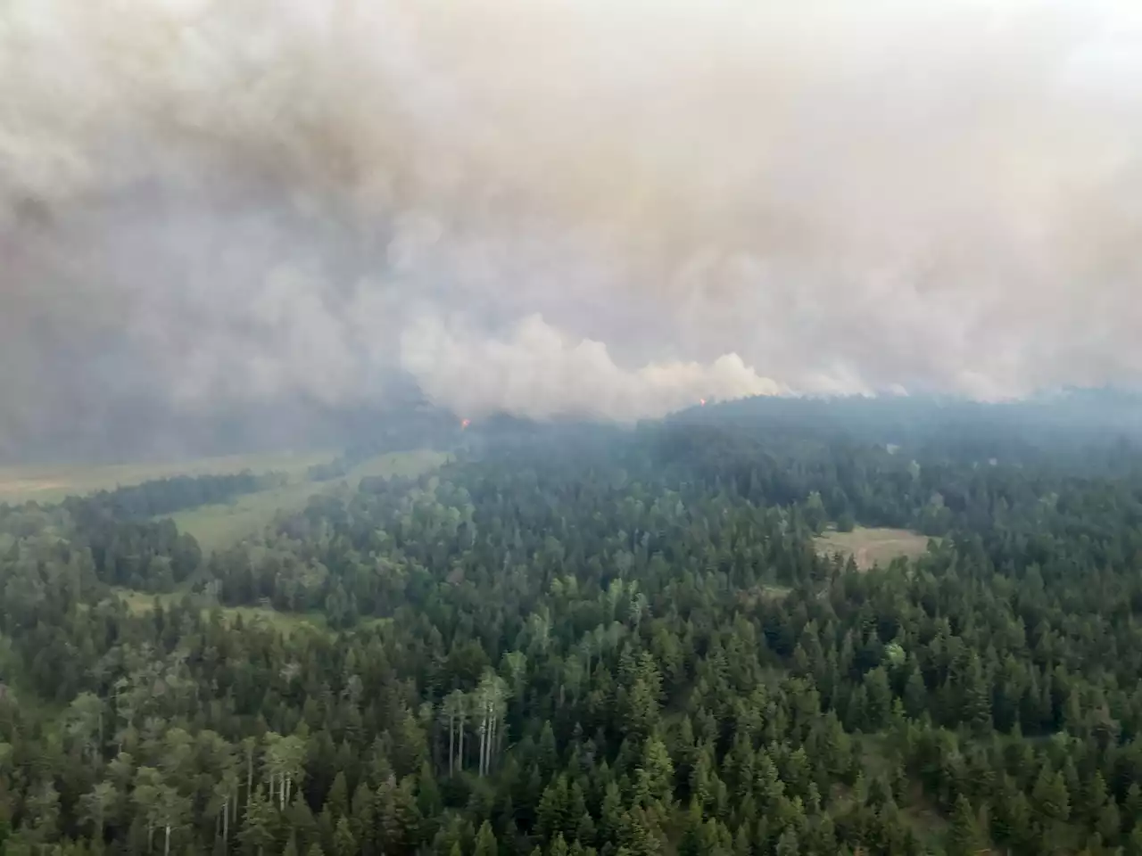 Fast-growing fire near Kamloops prompts evacuation alerts and orders