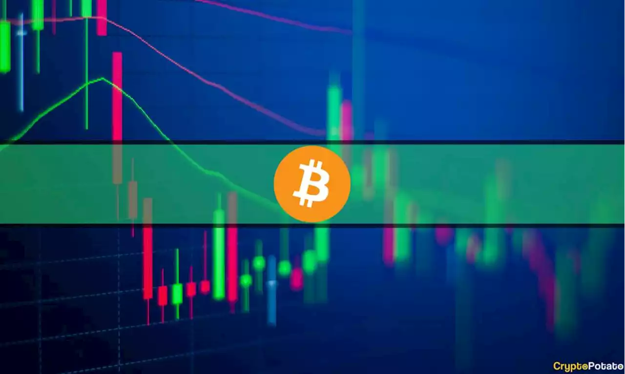 Bitcoin Fights For $30K While Altcoins Bleed Out (Market Watch)