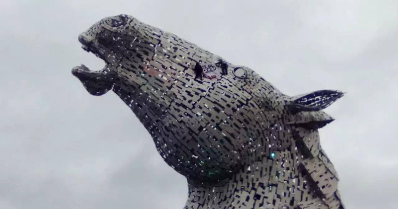 Climate change activists climb 100ft Kelpie statueamid ongoing protest