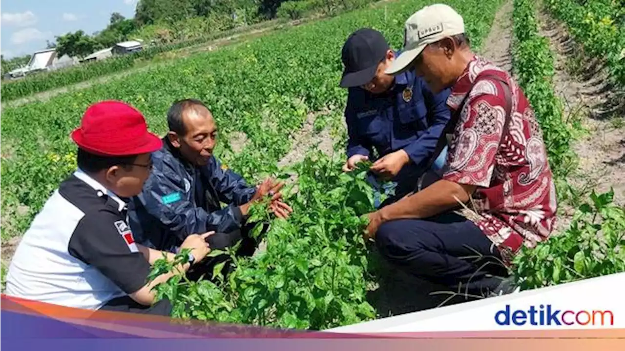 Antisipasi El Nino, Kementan Validasi Data EWS Sipantara di 3 Provinsi