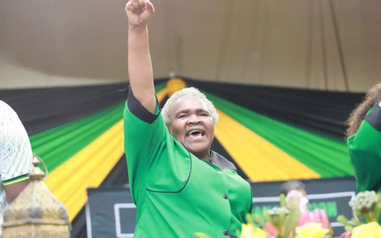 Sisisi Tolashe elected new ANCWL president