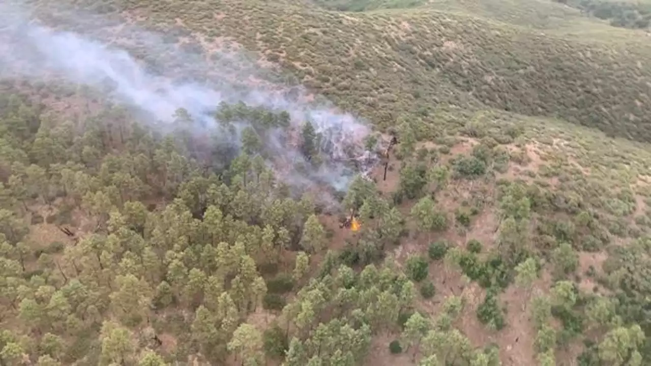 Lightning sparks fire on Mingus Mountain, just miles from Prescott Valley