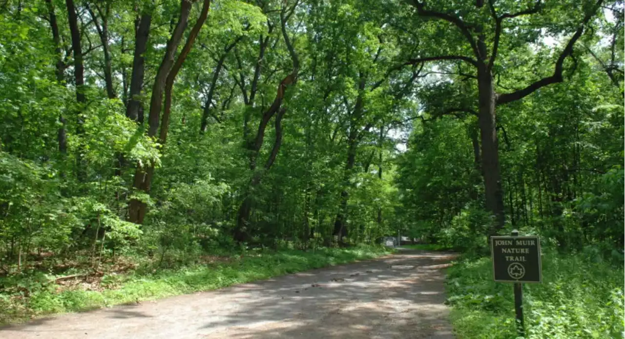 Dirt bikes and ATVs roar through Bronx’s Van Cortlandt Park amid NYPD crackdown