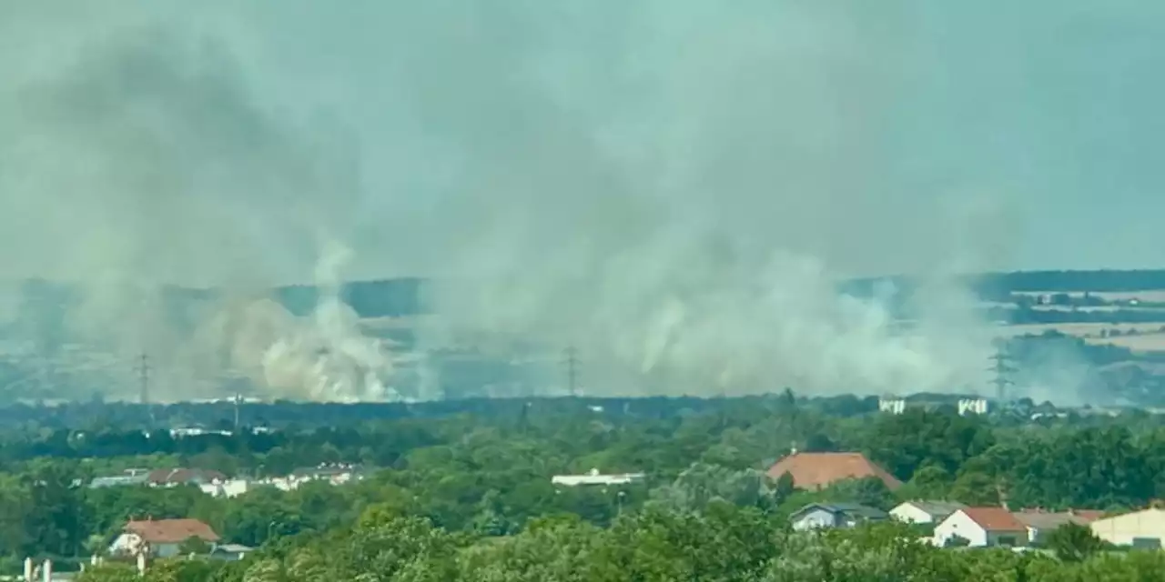 Feuer vor Wien – '20 Hektar Wald und Flur in Flammen'