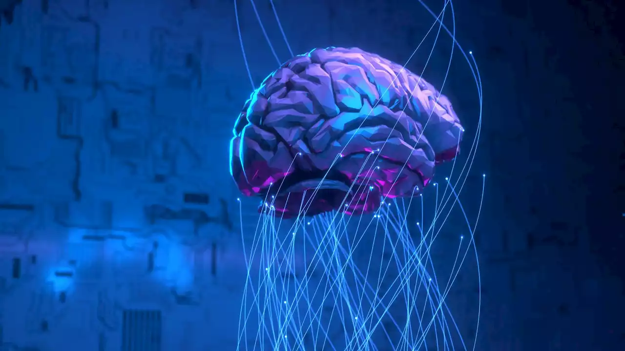 Brain on a Chip: Research team bags grant to merge brain and AI