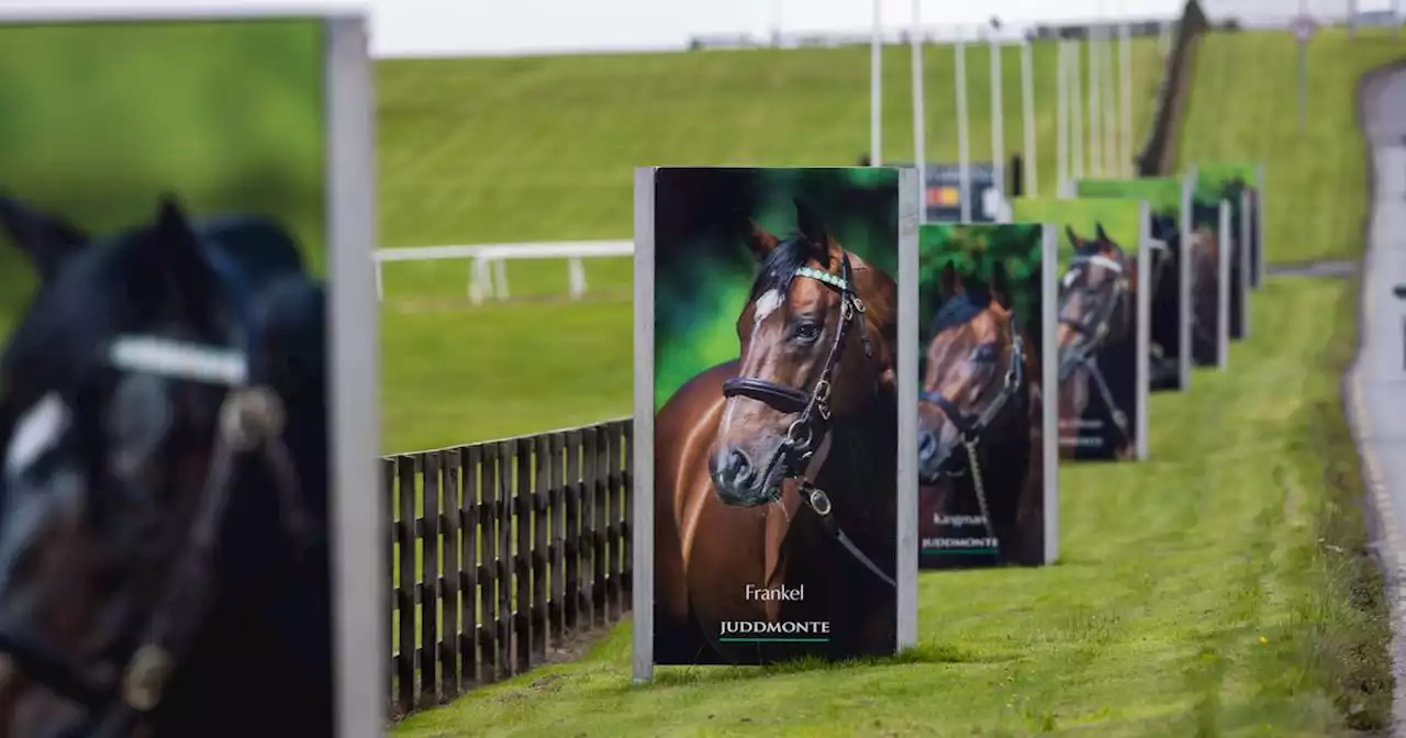 Curragh forced to cancel meeting due to waterlogging for the first time in 16 years