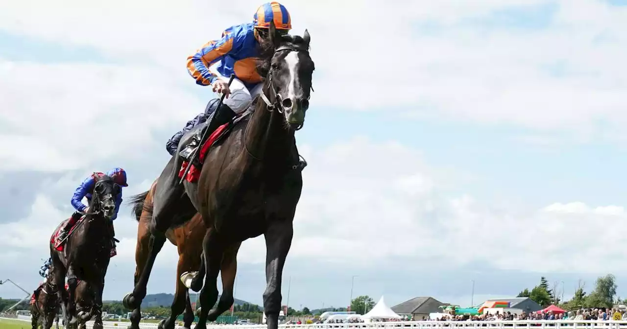 Soft ground is biggest concern as Auguste Rodin prepares for King George bid, says Aidan O’Brien