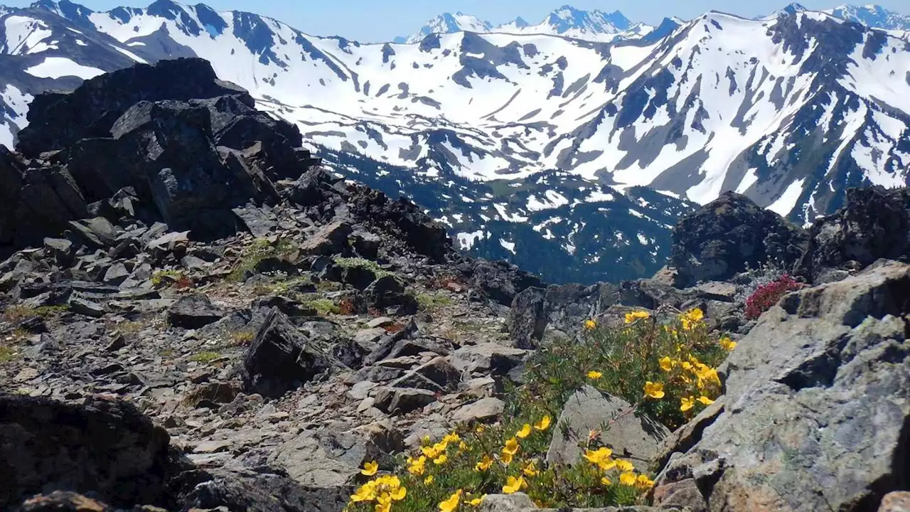 Body of missing Port Angeles hiker found in Olympic National Park