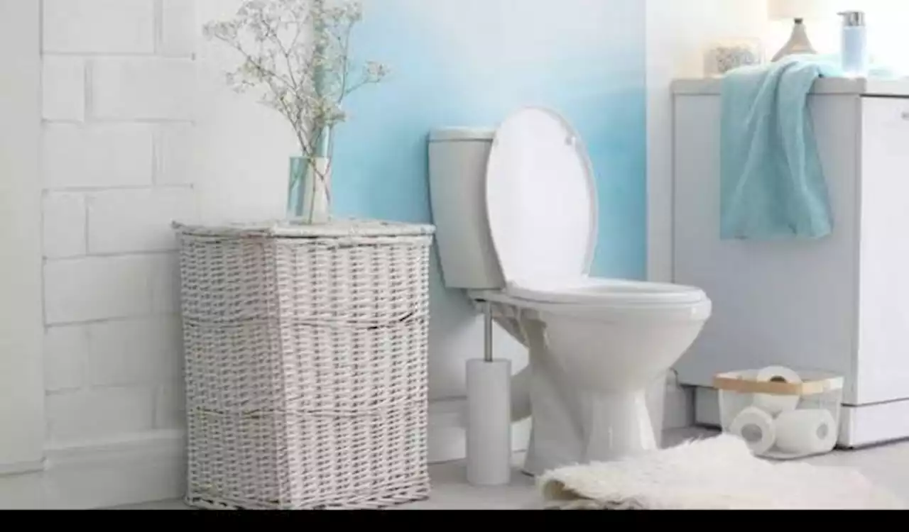 Cara Mudah Membersihkan Toilet tanpa Digosok, Cukup Dibilas