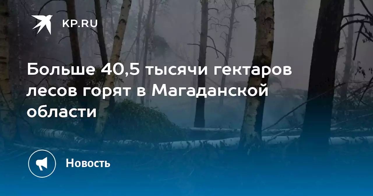 Больше 40,5 тысячи гектаров лесов горят в Магаданской области