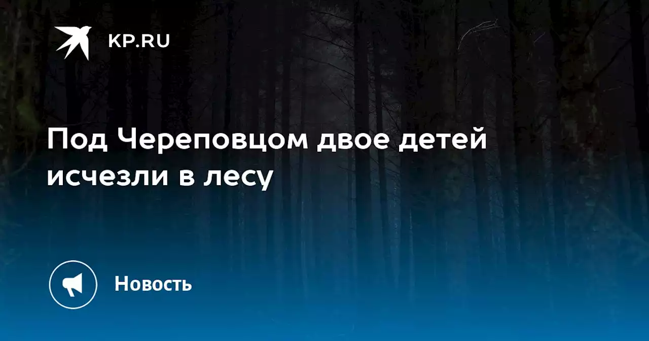 Под Череповцом двое детей исчезли в лесу