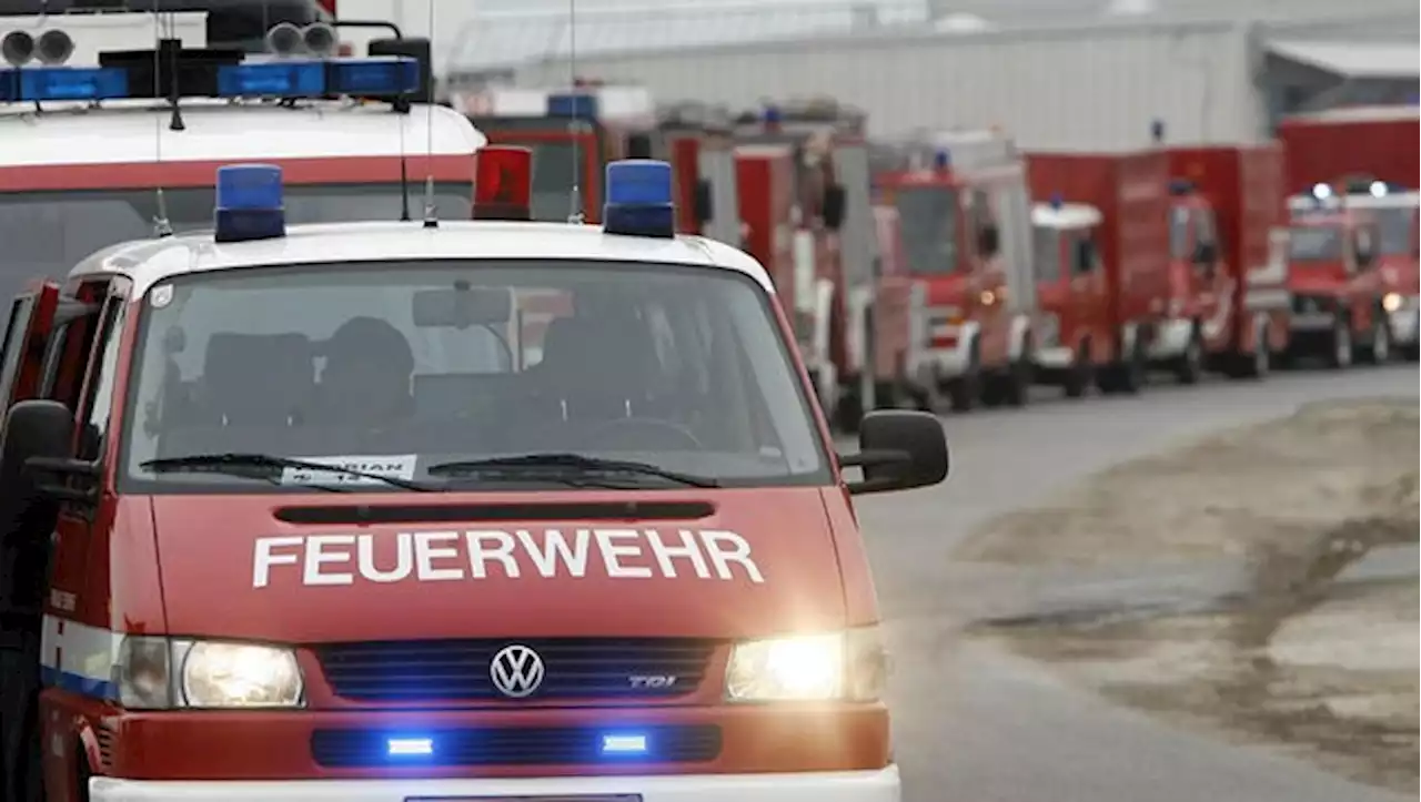 Wegen Hitze: Felder vor Wien stehen in Flammen