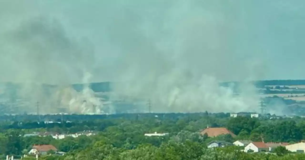 Waldbrand an der Wiener Stadtgrenze kilometerweit sichtbar