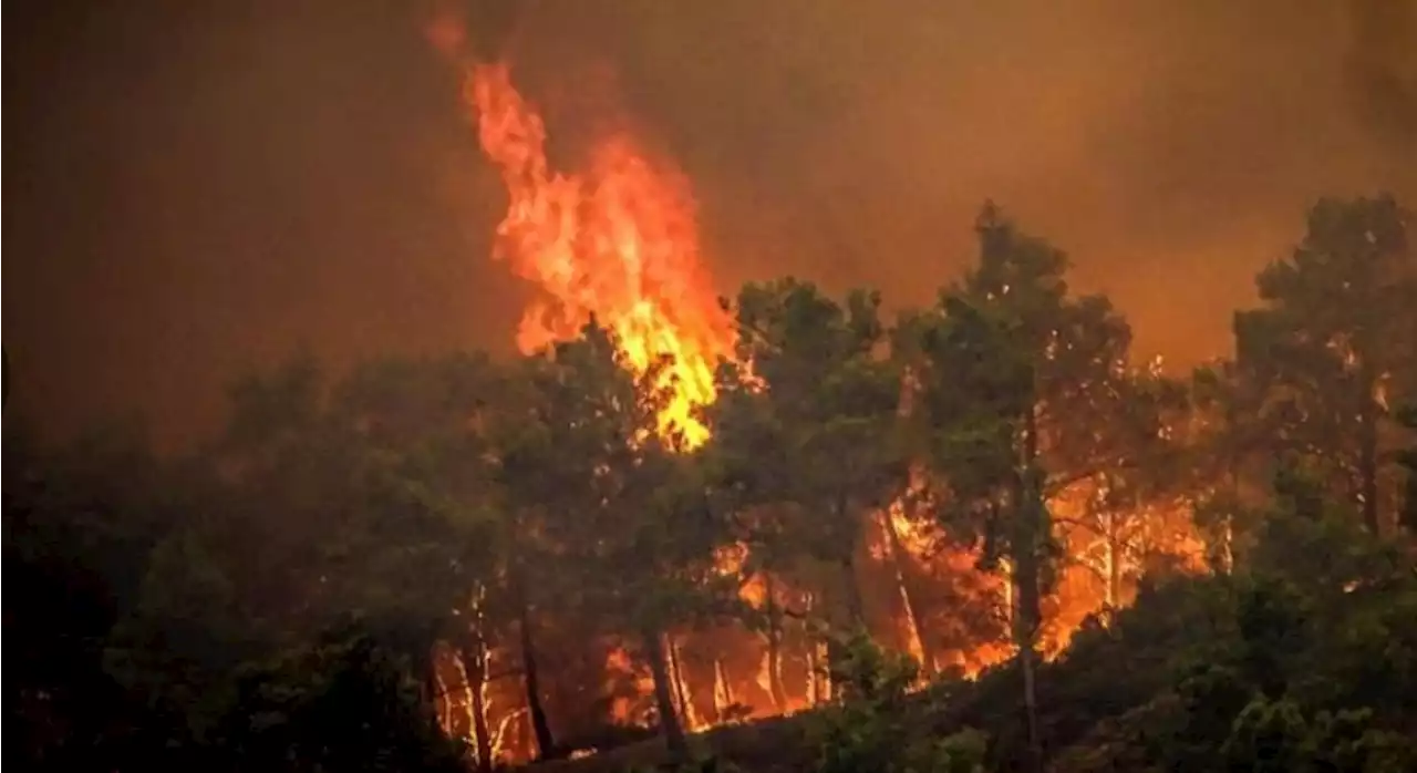 FOTOS: Incendio en Rodas obliga a evacuaciones masivas