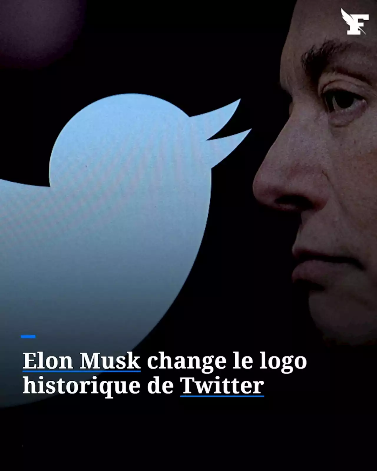 Elon Musk change le logo historique de Twitter