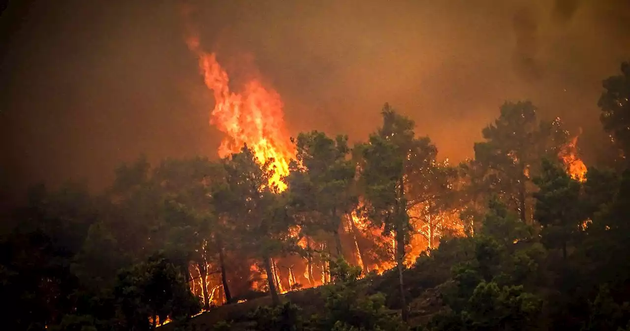 Jet2 cancels all holiday flights to Rhodes as forest fires rage on