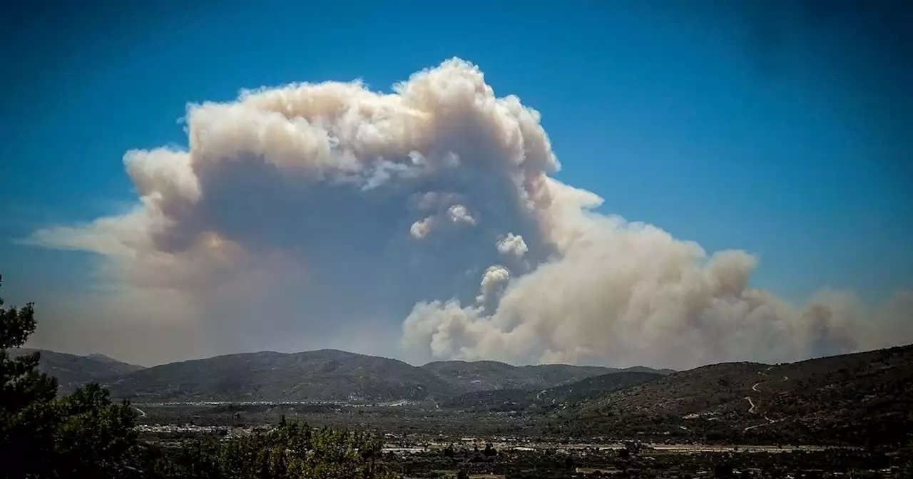 Airlines cancel flights and holidays as wildfire sweeps Greek island of Rhodes