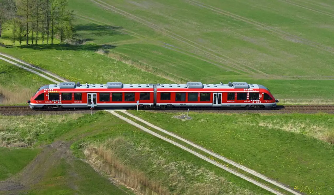 Regionalzug kollidiert mit Schafherde – Sperrung im Norden