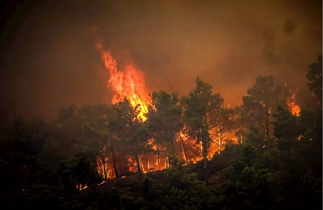 Thousands flee Greek island fires as northern hemisphere swelters | The Malaysian Insight