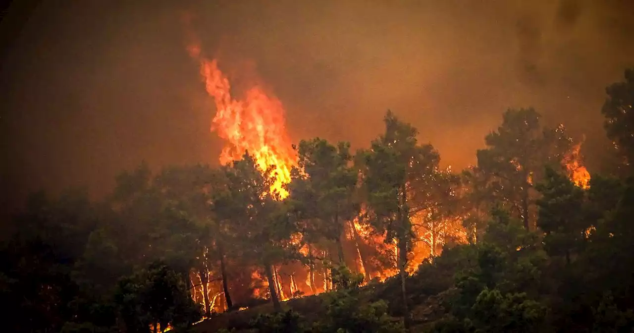 Jet2 and TUI's flightss to Rhodes cancelled as wildfire rages on