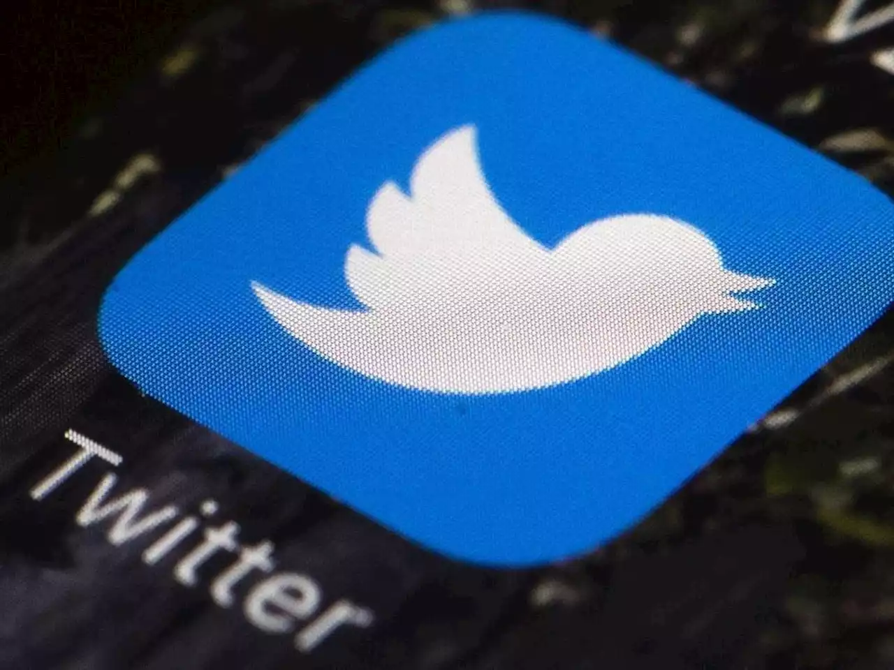 Musk says Twitter to change logo to 'X' from the bird