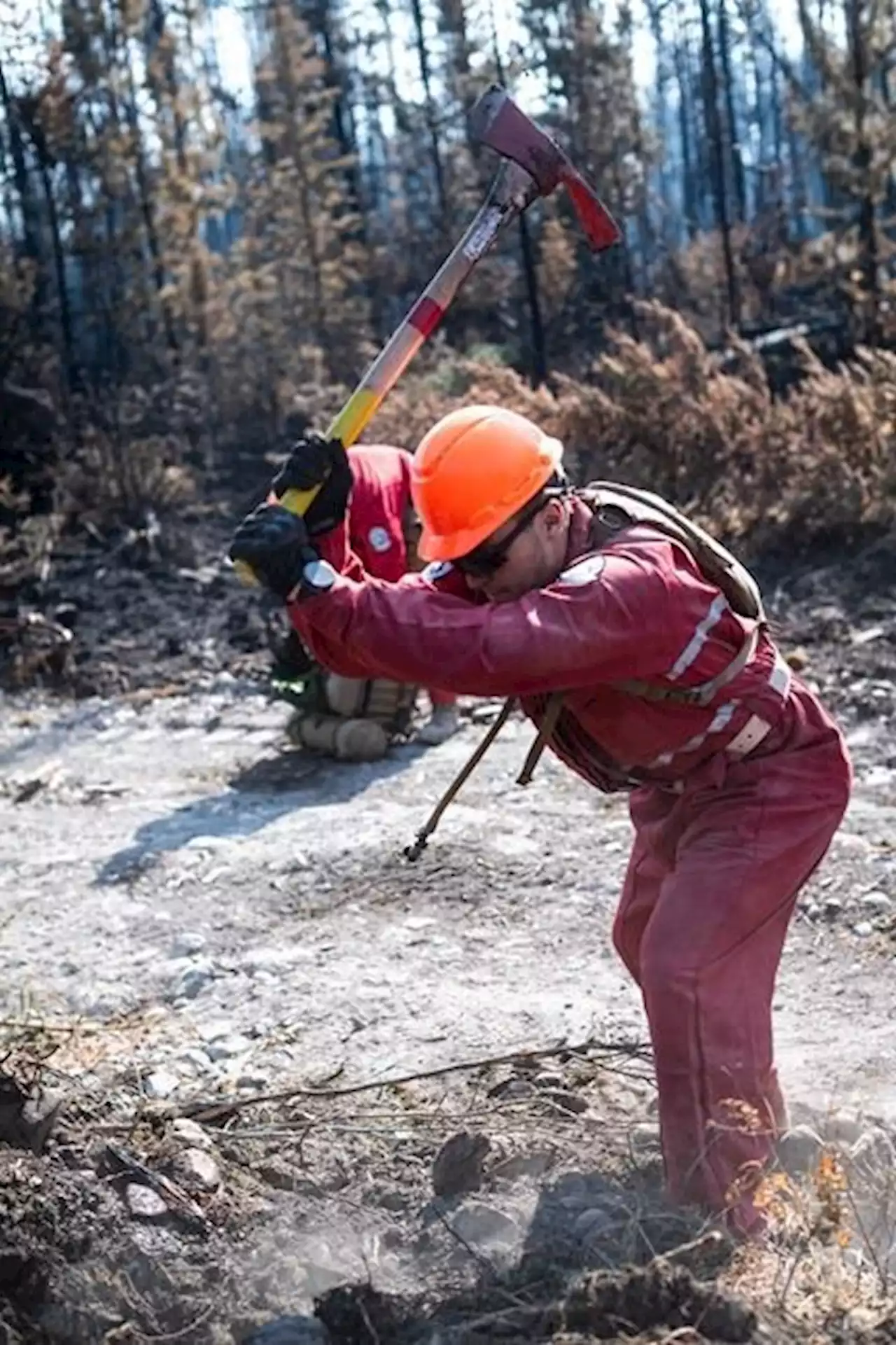 Growing B.C. wildfire closes Highway 20 following evacuation alert