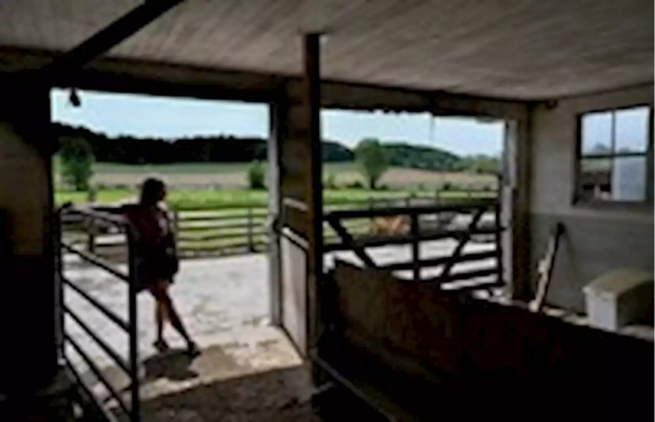 The D.C. region’s only sheep creamery, built from scratch, has closed